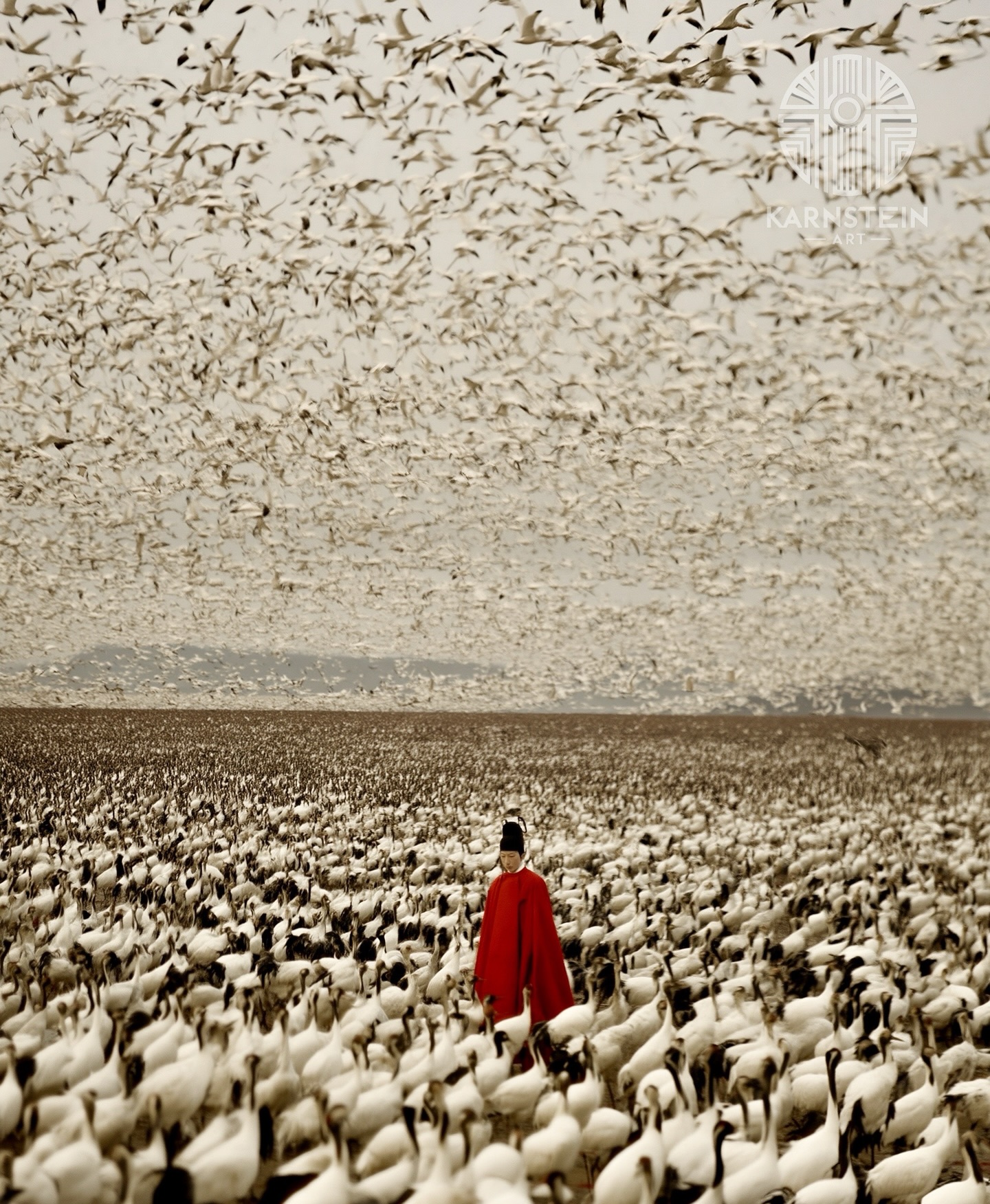 The Heart of the Migratory Birds (渡り鳥の心)

#photoart #surrealart #postphotography #prompt #bird